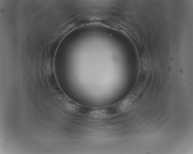 X0000076450422200610061327