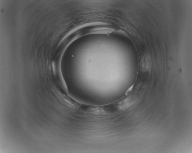 X0000076450424200610061327