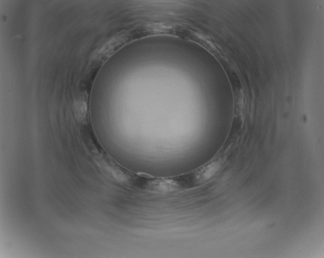 X0000076450427200610061327