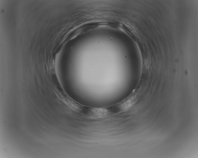 X0000076450429200610061327