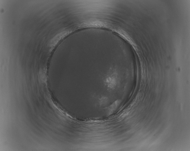 X0000076450434200610061326