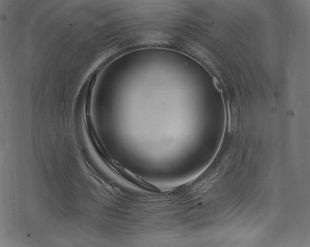 X0000076450435200610061326