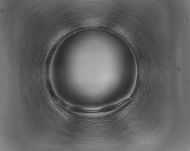 X0000076450439200610061326