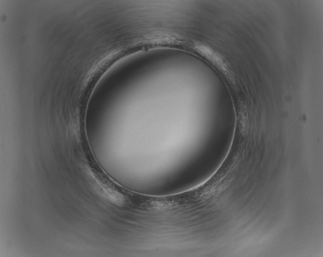 X0000076450442200610061326