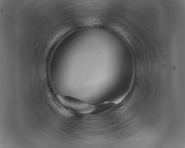 X0000076450443200610061327