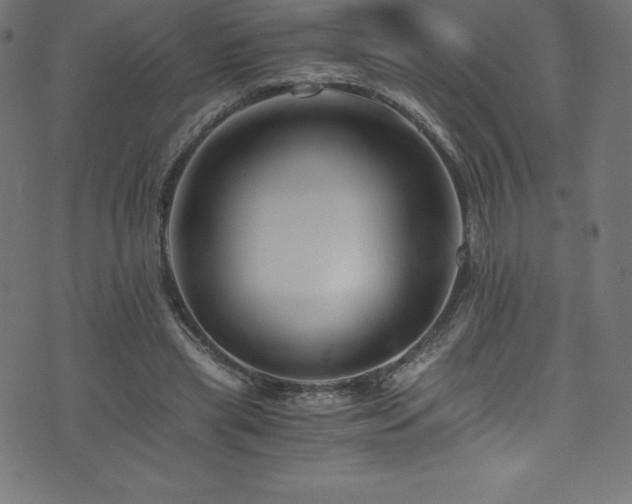 X0000076450445200610061327