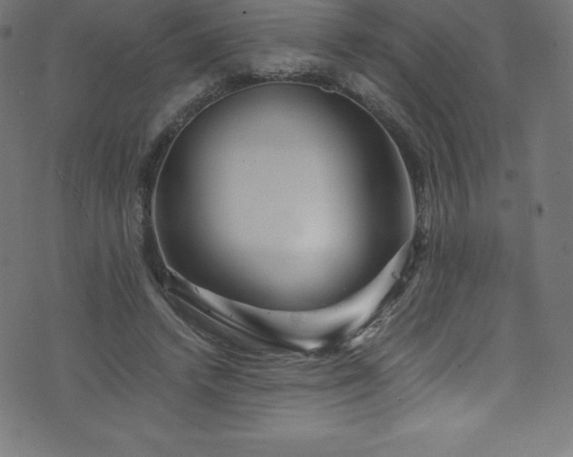 X0000076450448200610061327