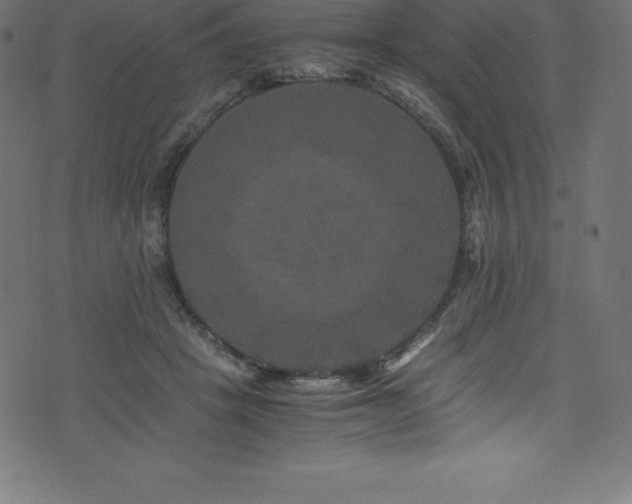 X0000076450457200610061327