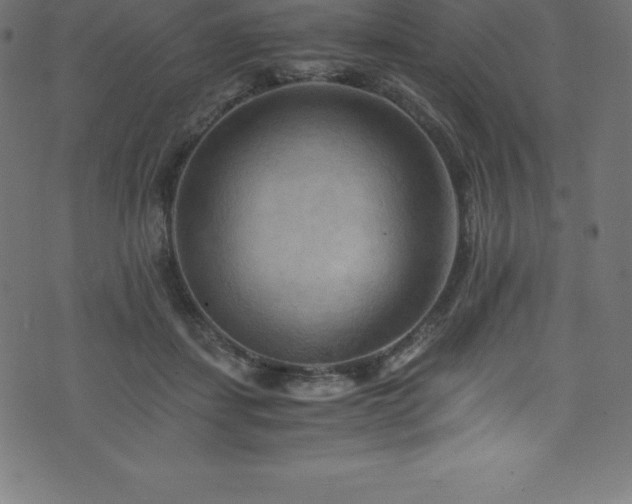 X0000076450459200610061327