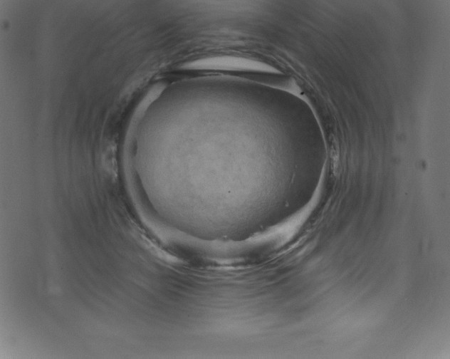 X0000076450462200610061327