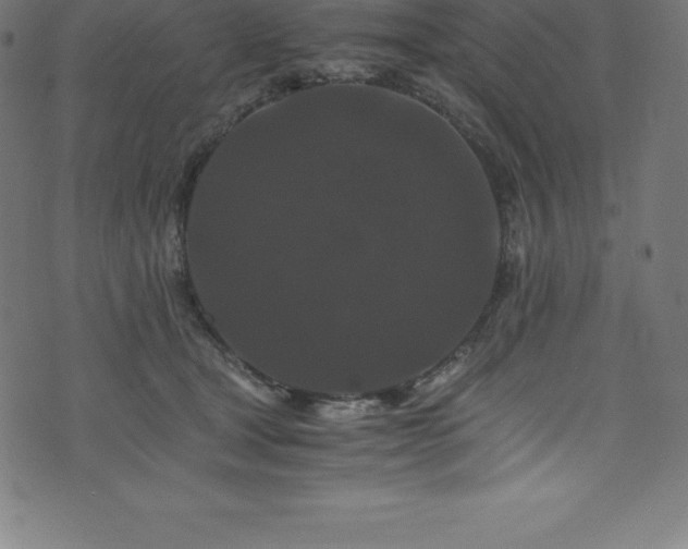 X0000076450465200610061327