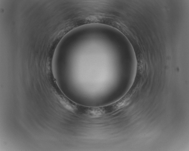 X0000076450466200610061327