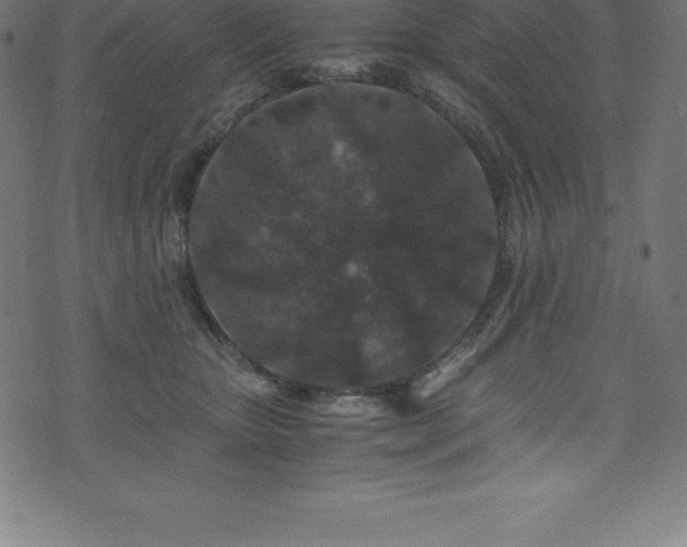 X0000076450467200610061327