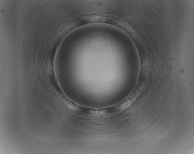 X0000076450469200610061327
