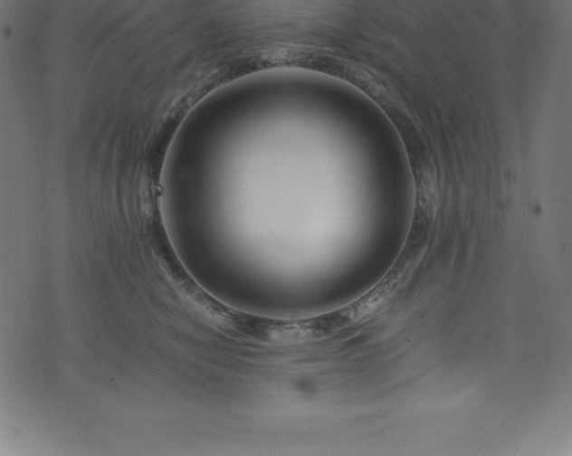 X0000076450470200610061327