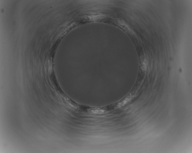 X0000076450471200610061327