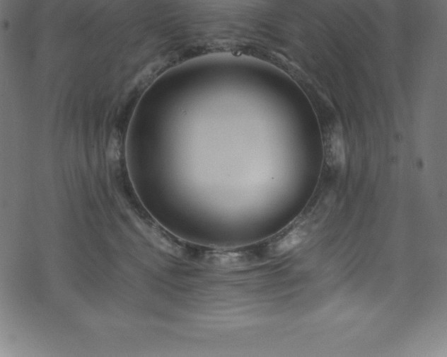 X0000076450472200610061327