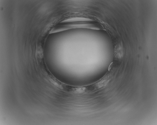 X0000076450474200610061327