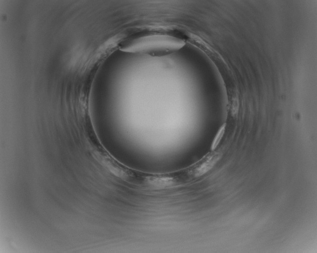 X0000076450476200610061327