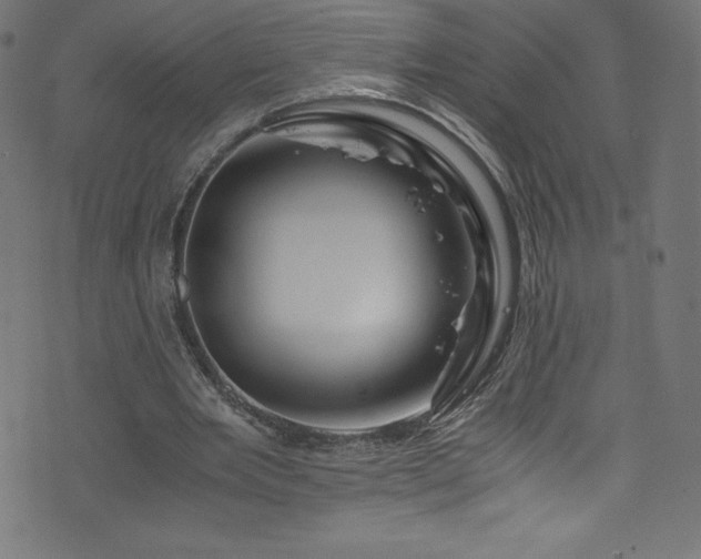 X0000076450485200610061326