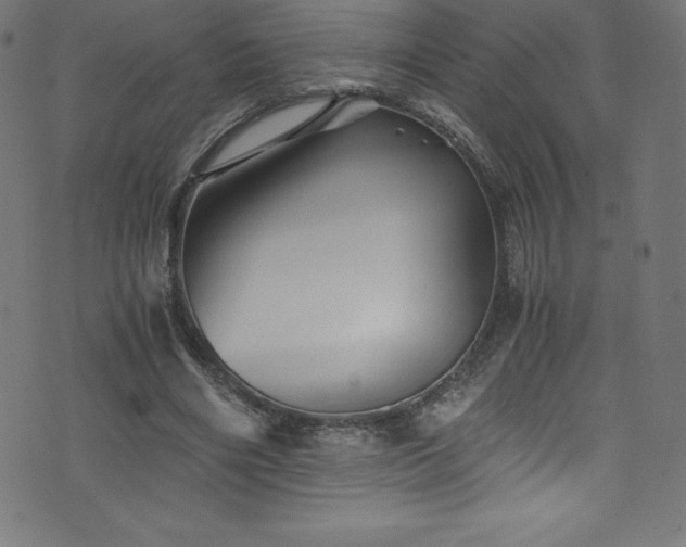 X0000076450490200610061326