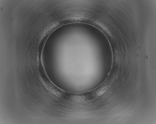 X0000076450494200610061326