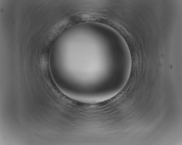 X0000076450513200610061326