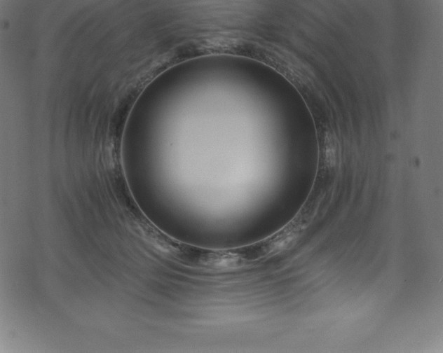 X0000076450514200610061326