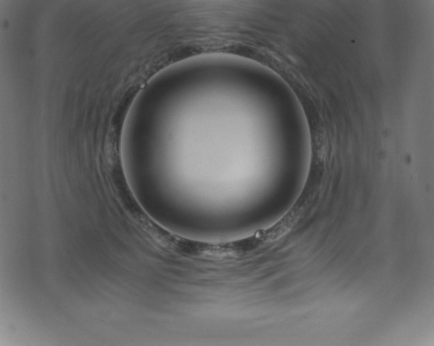 X0000076450515200610061326