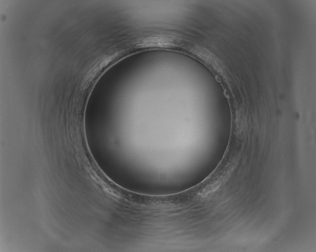 X0000076450529200610061325