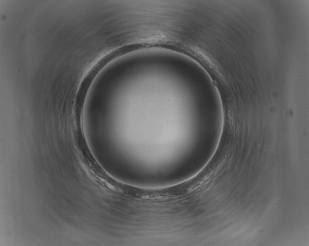 X0000076450532200610061325