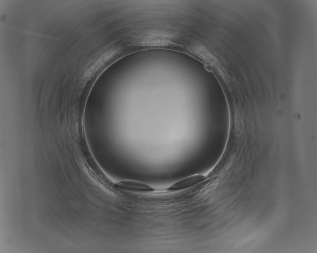 X0000076450533200610061325