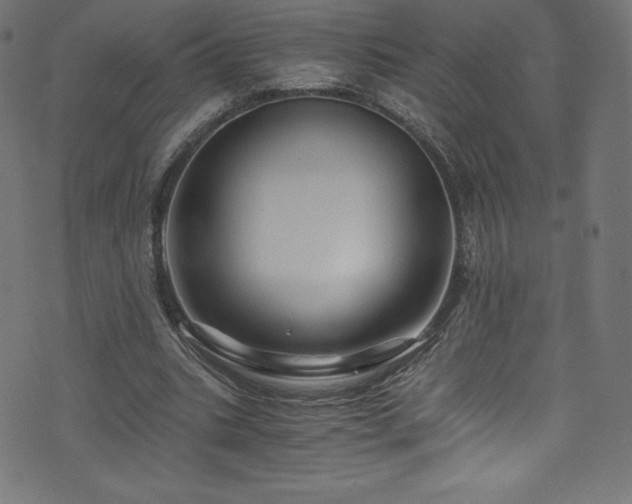 X0000076450535200610061325