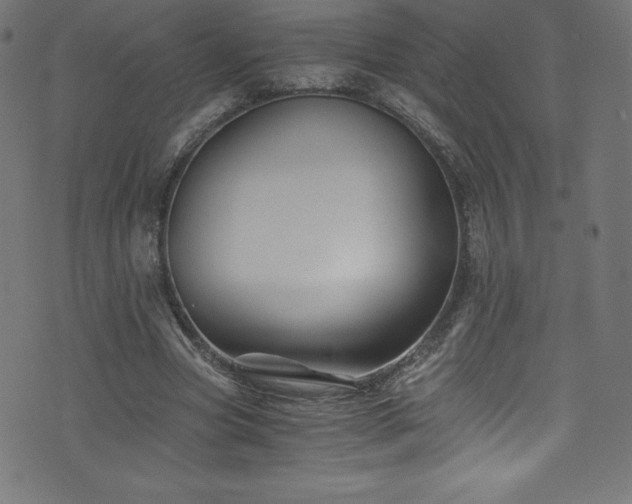 X0000076450537200610061325