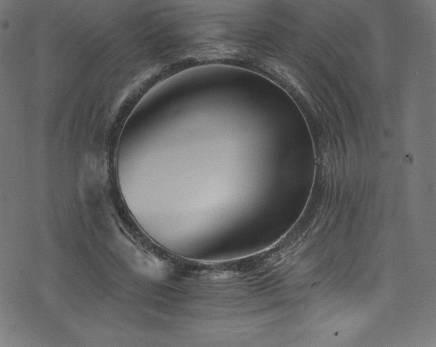 X0000076450539200610061325