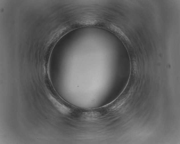 X0000076450541200610061325