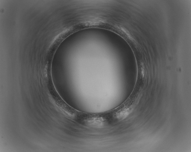 X0000076450543200610061325