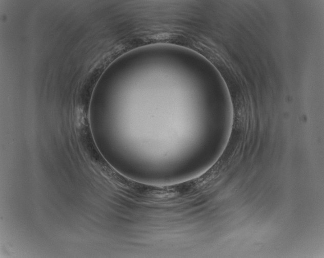 X0000076450555200610061325