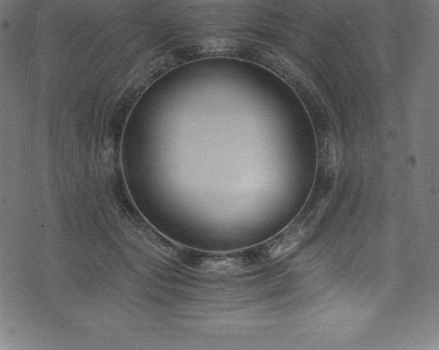 X0000076450557200610061325