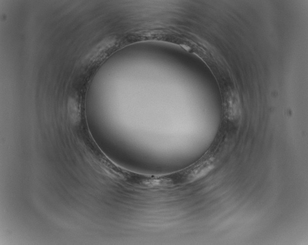 X0000076450558200610061325