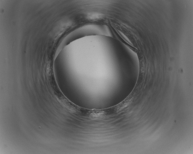 X0000076450560200610061325