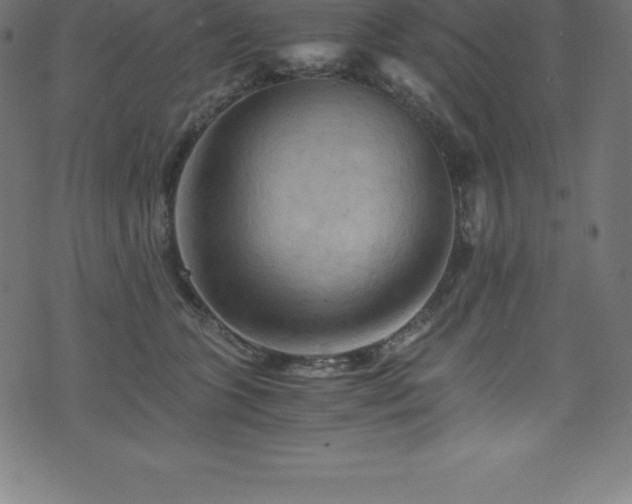 X0000076450563200610061325