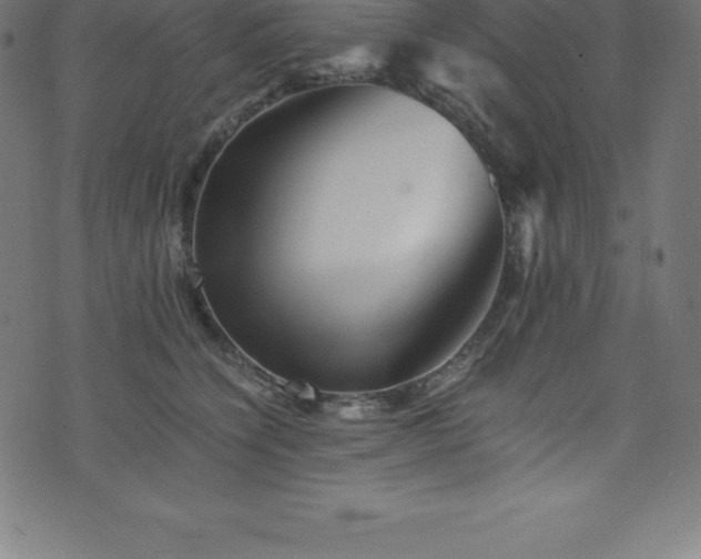 X0000076450564200610061325