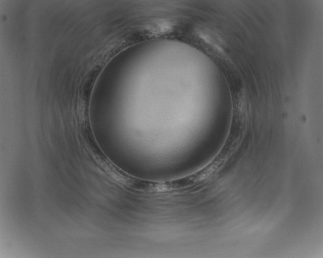 X0000076450565200610061325