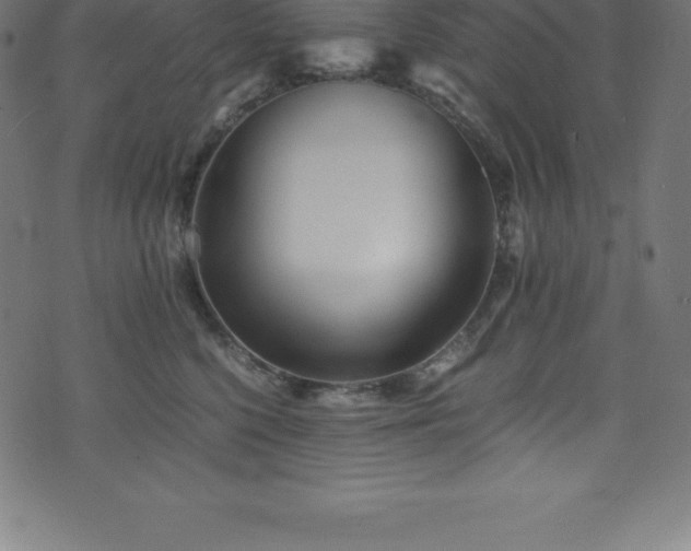 X0000076450568200610061325