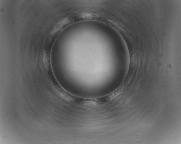 X0000076450572200610061325