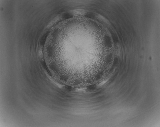 X0000076450573200610061325