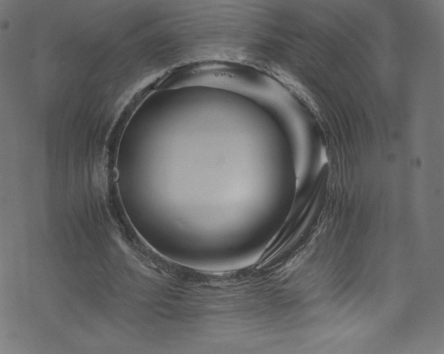 X0000076450580200610061325