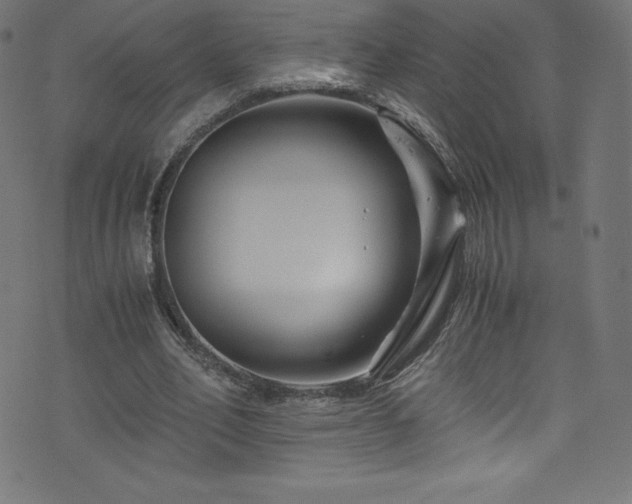 X0000076450582200610061325