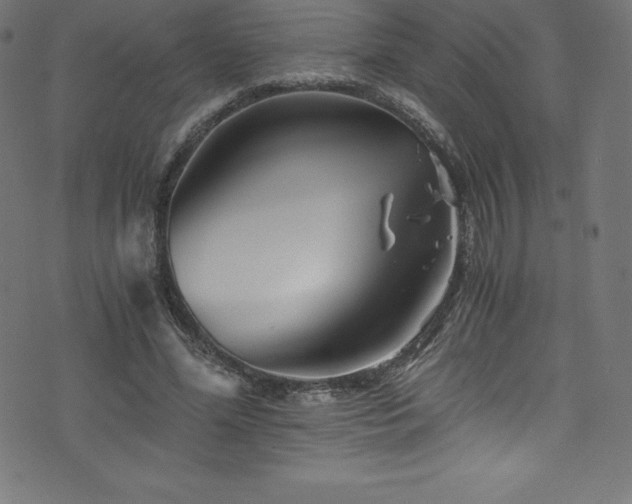 X0000076450588200610061325